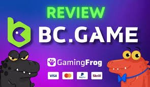 Discover the Thrills of BC.Game Casino 25