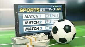 Everything You Need to Know About Crown Bet 17 Everything You Need to Know About Crown Bet 17